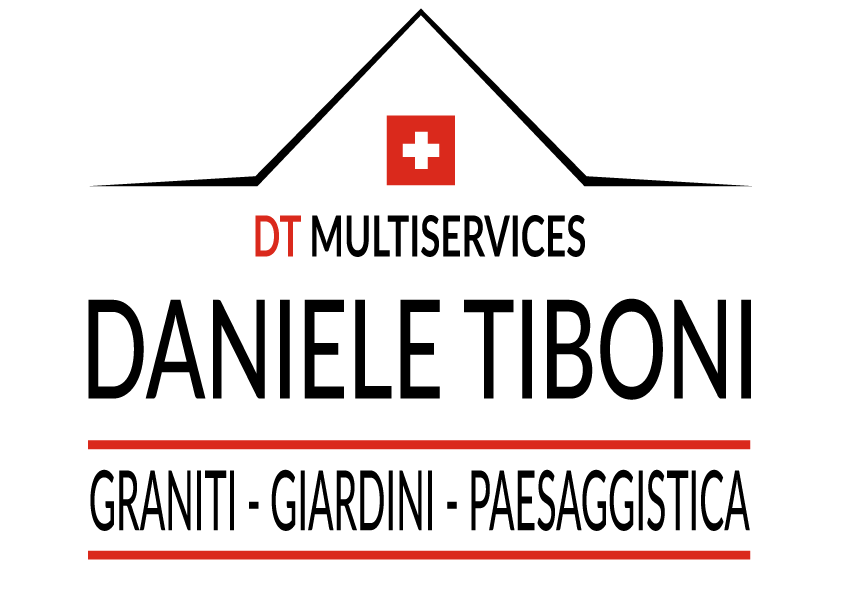 DT MULTISERVICES LOGO